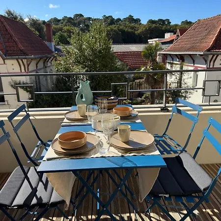 T3 De Charme Et Lumineux